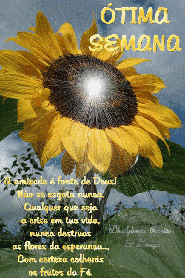 Carregando