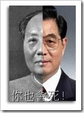 maozendong-hujintao