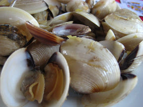 Clams