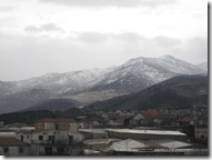 željko 002