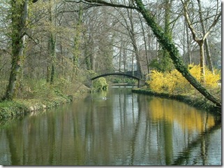 bridge in spring