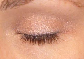 Coastal Scents Eyeshadow