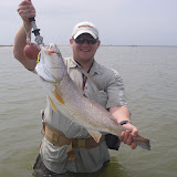 I believe it was around 33"