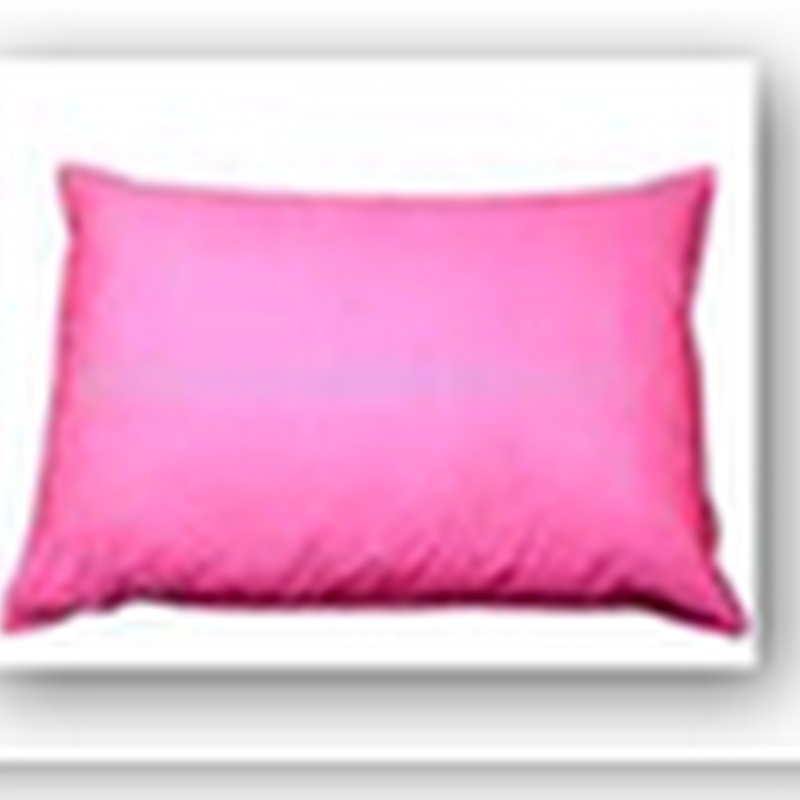 What U.S. Workers Need: A Pillow