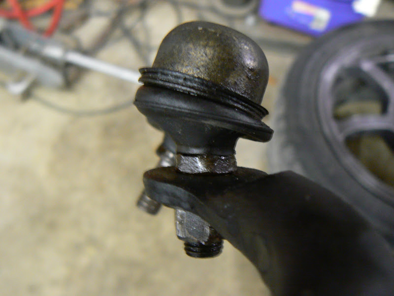 [Image: P1030427%20019.JPG]