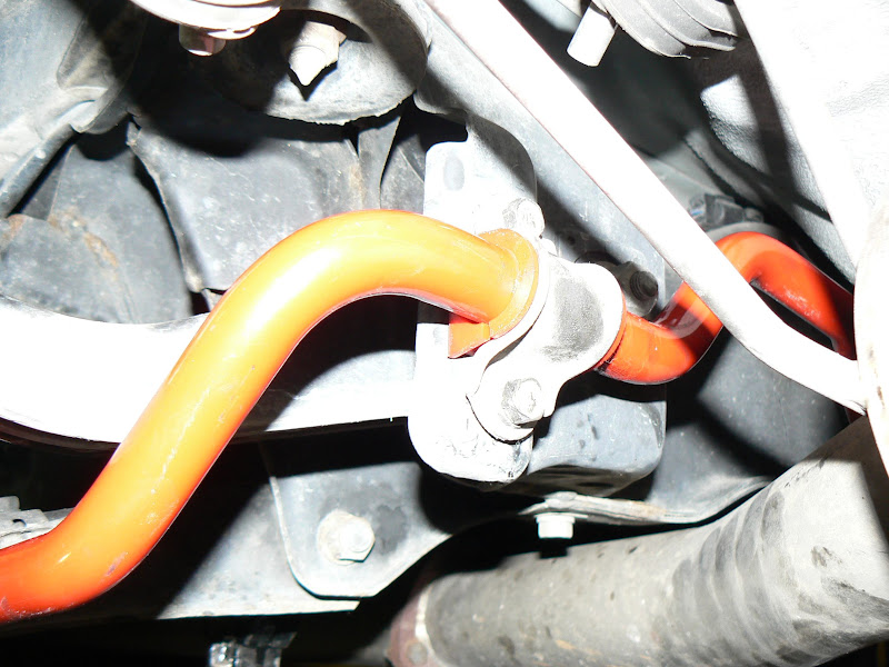 [Image: P1030434%20026.JPG]