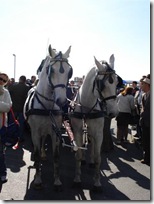 DSC00660 (Small)
