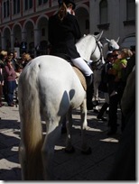 DSC00673 (Small)