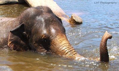 AustraliaZoo_24_10_2007 159_WATERMARKED