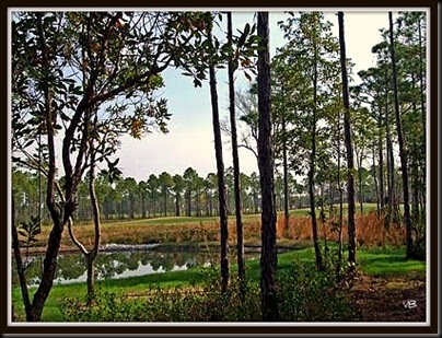 pond view1 4x3