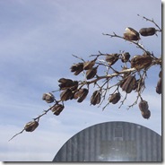 Marfa 006