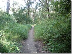 2nd April 2008 010