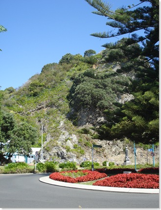 DSC00721