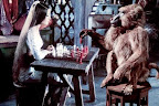A Baboon Playing Chess, Now that's Urban? Dontchathink?