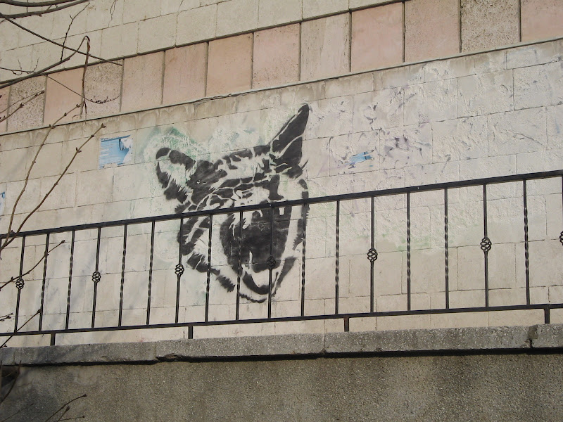 Stencil Uri De Chişinău Stencil-uri de Chişinău