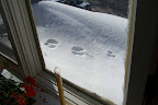 100_3381.JPG