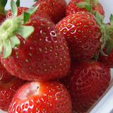 Fresh Picked Strawberries