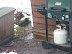 Photo shows how close slope was to side of house
