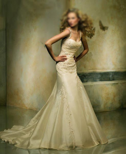 Elegant Wedding Dress Gowns