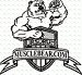 Muscle Bear