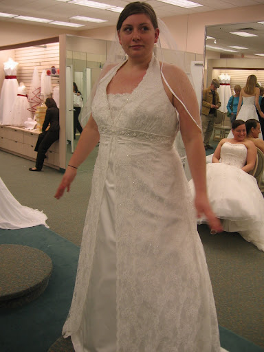 David's Bridal Plus Size Wedding Gown