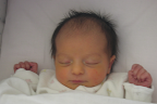 Matilde
