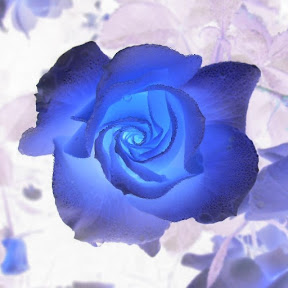 Fantasy blue rose