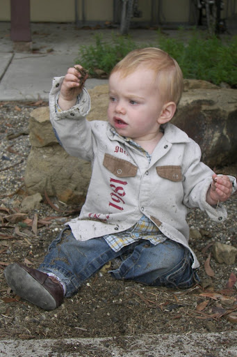 Hmmm, this bit of dirt would look nice on my head, methinks.