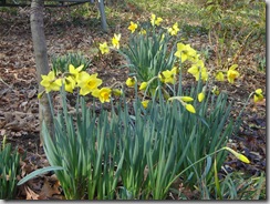 pics 063