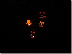 summer-fall 061