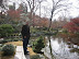 2006-01-JapaneseGarden-11.jpg