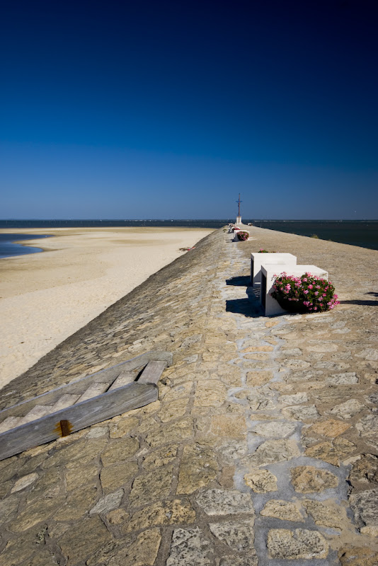 IMAGE: http://lh5.google.com/alistairksmith/Ru7d2slMd-I/AAAAAAAACi8/Ug032NWyLK0/s800/IMG_8459.jpg