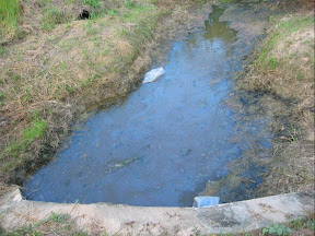 Contaminacion de aguas en botadero municipal Iquitos