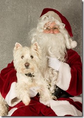 gussanta