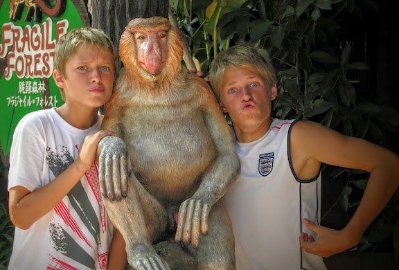 Monkeys Monkeys