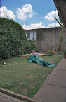 Our backyard