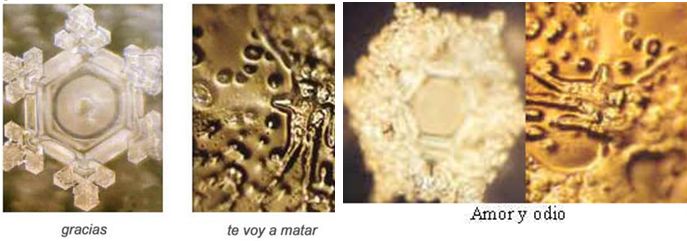 voy a matar, amor y odio amor y odio. voy a matar, amor y odio
