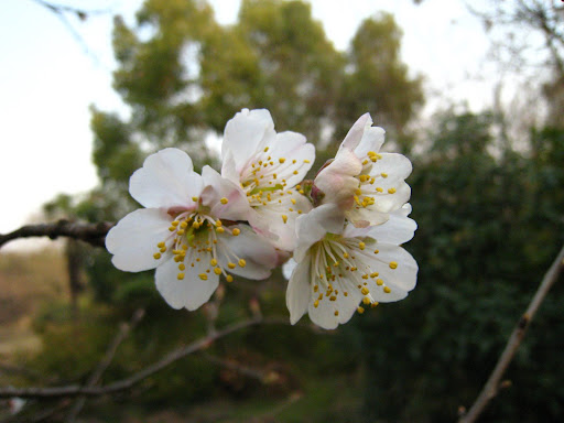 http://lh5.google.com/anikox/R-BsRyBpOII/AAAAAAAABmk/6qxquvYGWOU/IMG_2010.JPG?imgmax=512