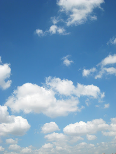 http://lh5.google.com/anikox/RrlYW894i8I/AAAAAAAAAlM/7vbgUE6pwV8/After_IMG_0603.jpg?imgmax=512