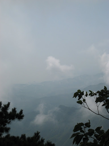 http://lh5.google.com/anikox/RtQYs2LJmpI/AAAAAAAAA4k/VO4uSzjQozw/IMG_1017.JPG?imgmax=512