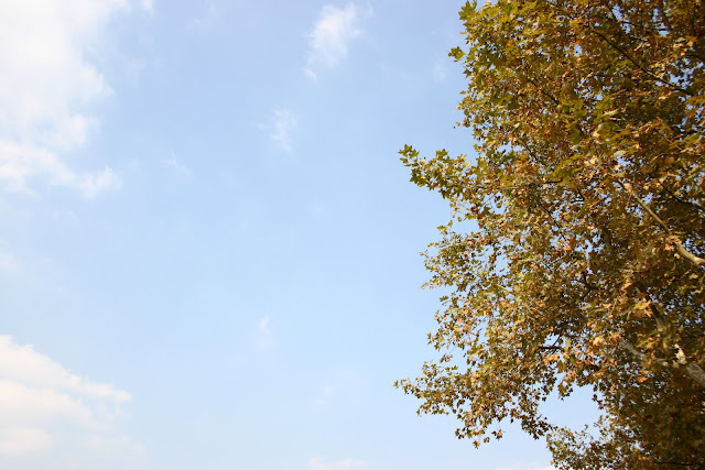 http://lh5.google.com/anikox/RzfqpzP-1SI/AAAAAAAABT4/UrzdieDOH-w/IMG_0107.jpg?imgmax=640