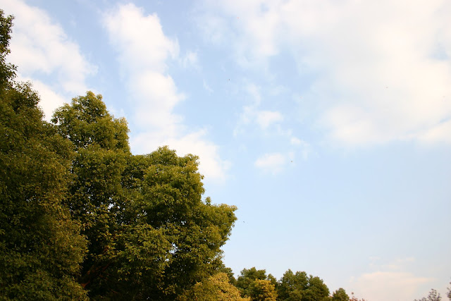 http://lh5.google.com/anikox/Rzfr7zP-16I/AAAAAAAABZA/21S53fXFong/IMG_0190.jpg?imgmax=640
