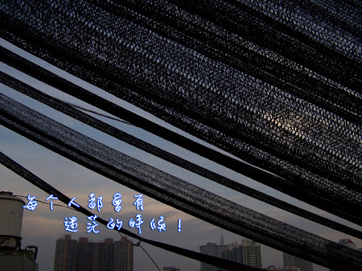 blue in the Sky