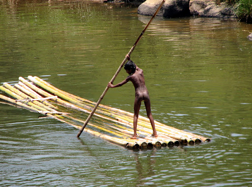 A scene in river