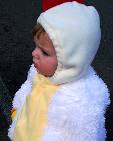 Kari Chicken