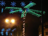 Una palmera en una galaxia azul