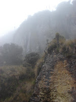 Bruma y acantilados
