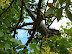 Parque de Las Iguanas Parque de Las Iguanas