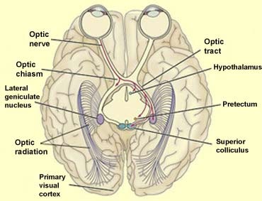 CEB1B234-86F3-4D79-B0CA-3708EAACA461.jpg