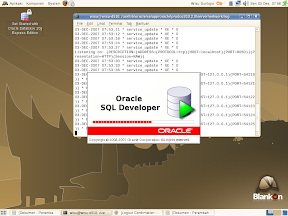 SQLDeveloper